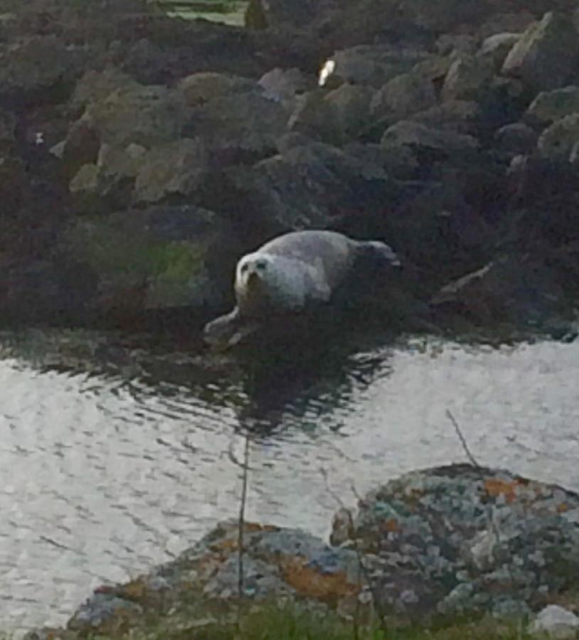 Burnside Lodge Portnahaven Esterno foto