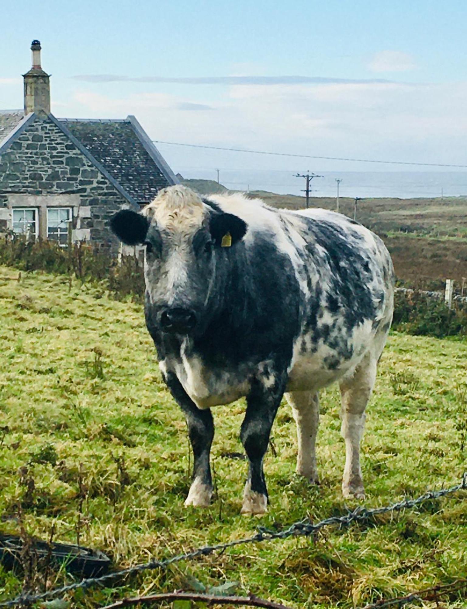 Burnside Lodge Portnahaven Esterno foto