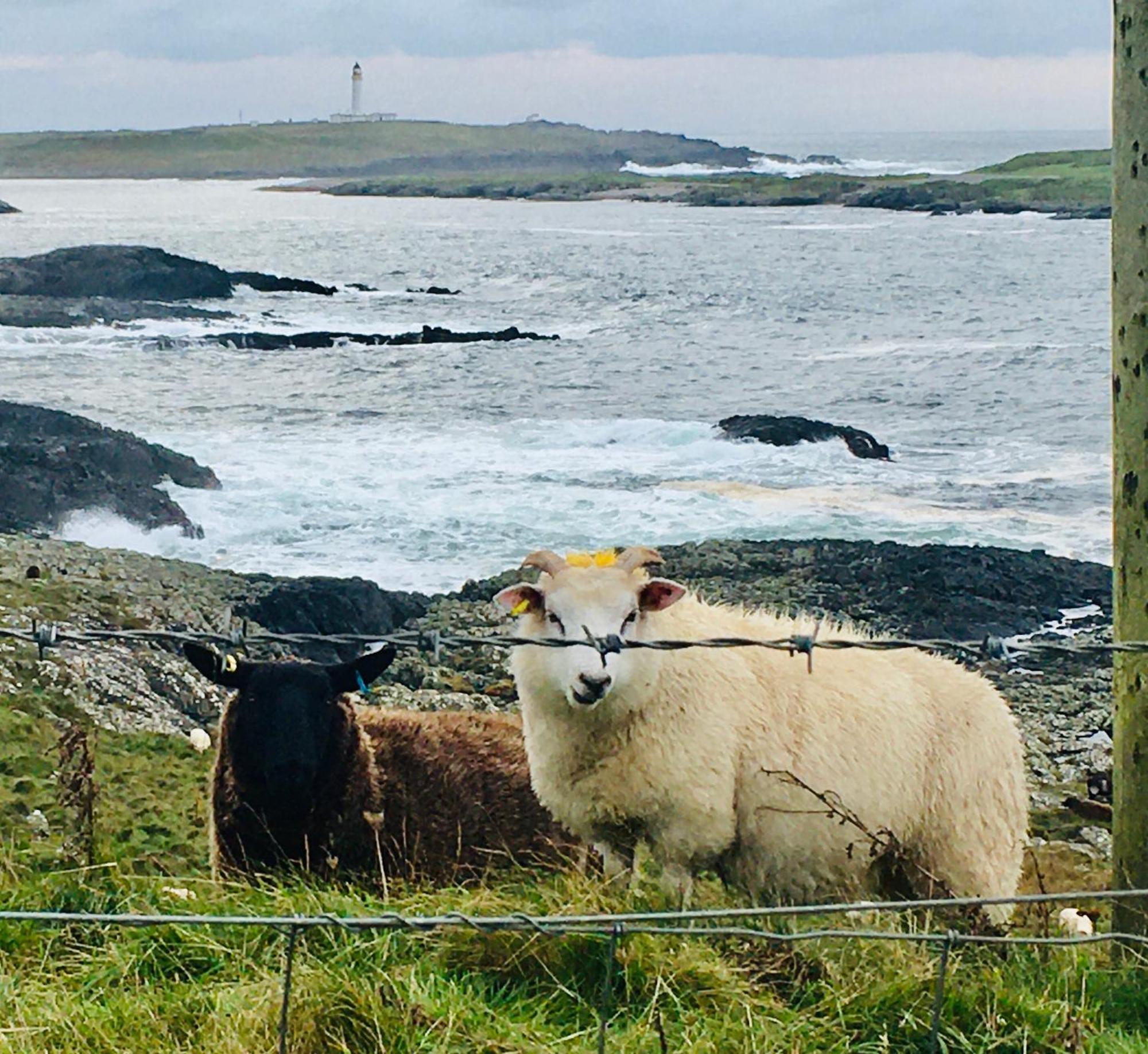 Burnside Lodge Portnahaven Esterno foto